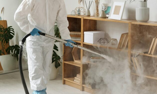 Expert deep-cleaning protocols to remove smoke smell after a fire